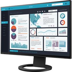 EIZO EV2495 - Product Image 1