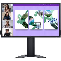 Dell P8624QT - Product Image 1