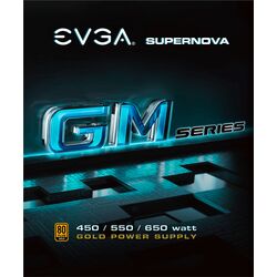 EVGA GM 450 - Product Image 1