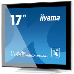 iiyama ProLite T1732MSC-W5AG - Product Image 1