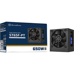 SilverStone ST65F-PT v1.1 650 - Product Image 1