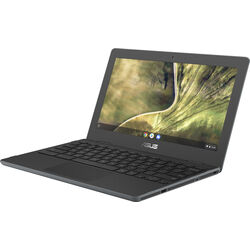 ASUS Chromebook C204 - C204MA-GJ0427 - Product Image 1