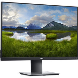 Dell P2421 - Product Image 1